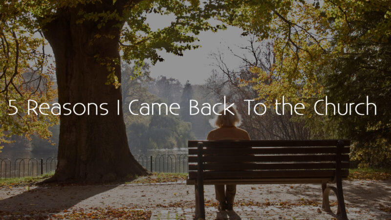 Person sitting on a park bench in autumn, contemplating 5 Reasons I Came Back to the Church text.