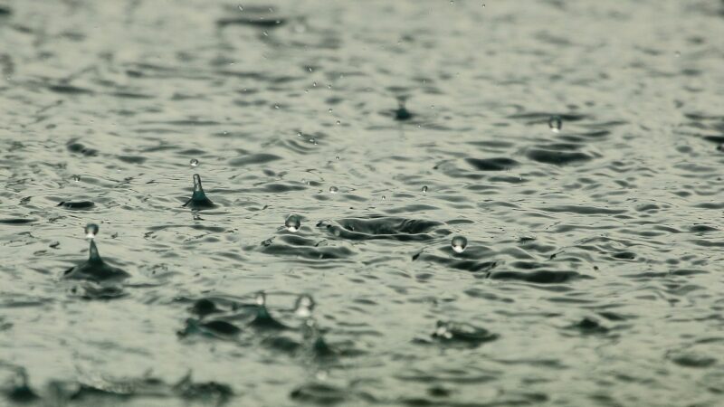 Raindrops splashing on a water surface, creating ripples and droplets in a close-up view.