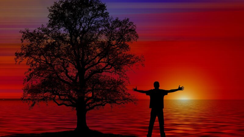 Silhouette of a person with open arms and a tree at sunset by the water, with vibrant red and purple sky.