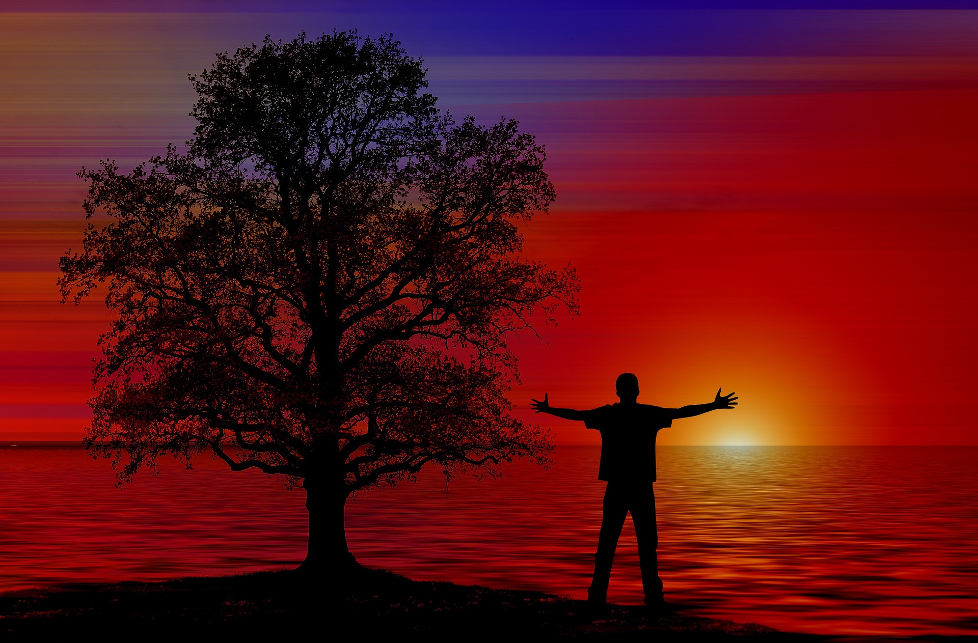 Silhouette of a person with open arms and a tree at sunset by the water, with vibrant red and purple sky.