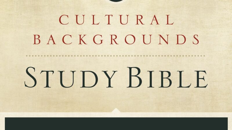 NIV Cultural Backgrounds Study Bible cover with desert, fishing net, and ancient architecture images.