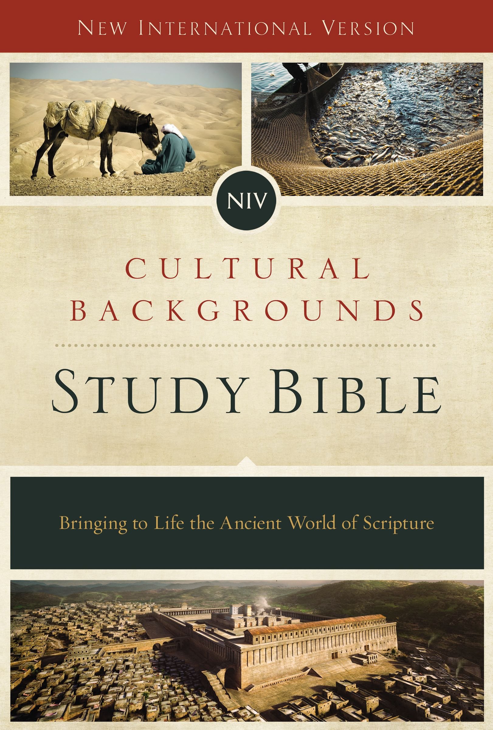 NIV Cultural Backgrounds Study Bible cover with desert, fishing net, and ancient architecture images.