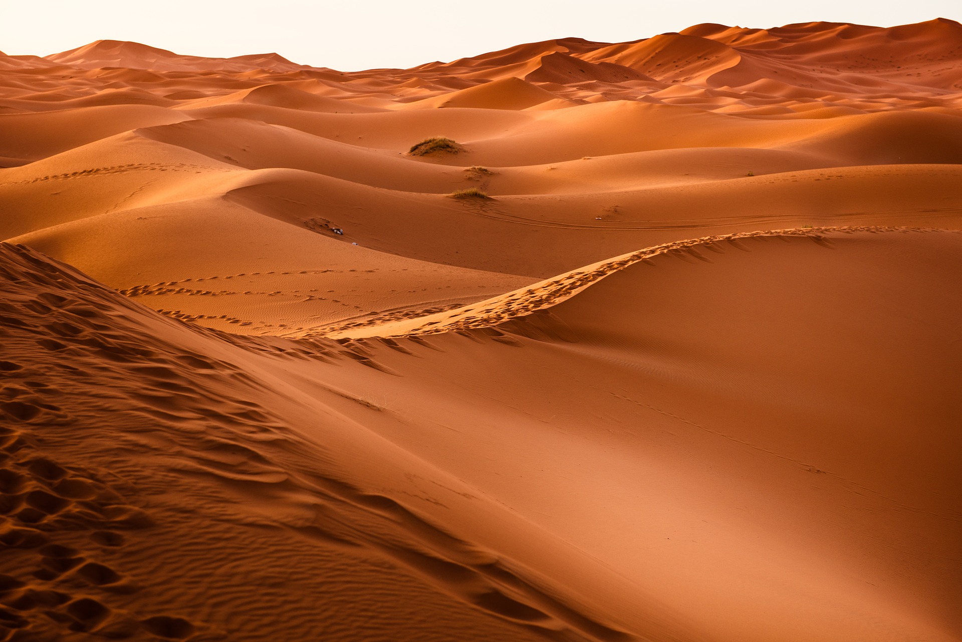 Golden sand dunes in a vast desert landscape under a clear sky, showcasing natural beauty and tranquility.