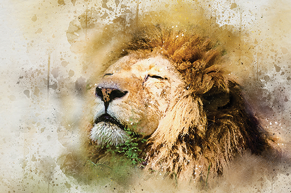 Artistic depiction of a lion's face with closed eyes, surrounded by watercolor splashes.