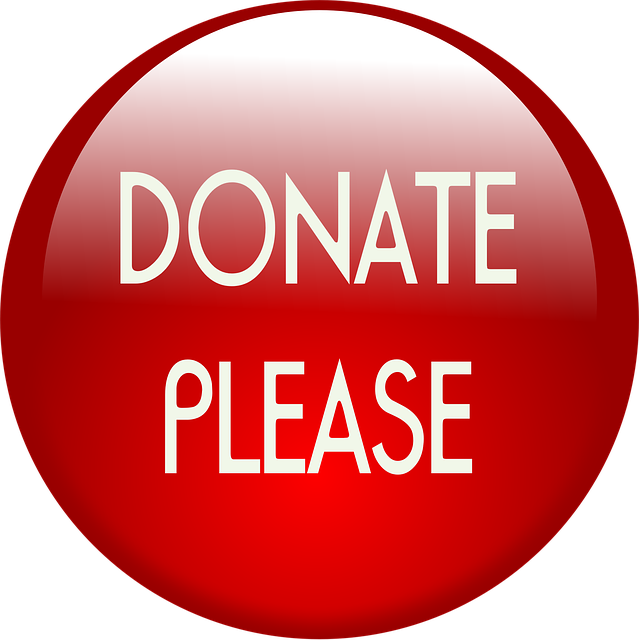 Red button with text DONATE PLEASE encouraging donations.