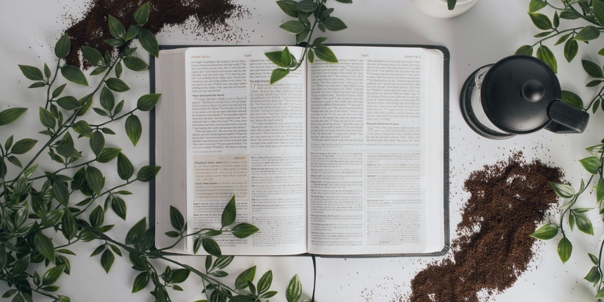 Open book with greenery and coffee grounds on a table, conveying a peaceful reading atmosphere.