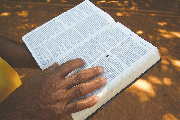 Person reading a Bible outdoors, highlighting devotion and study in natural light.