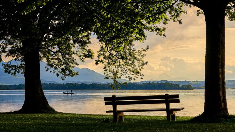 Bench under trees by a lake with mountains in the background, serene sunset scene.