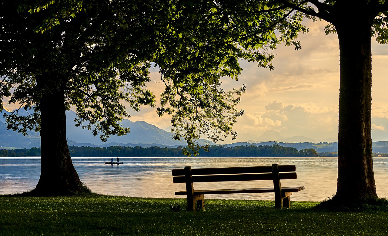 Bench under trees by a lake with mountains in the background, serene sunset scene.