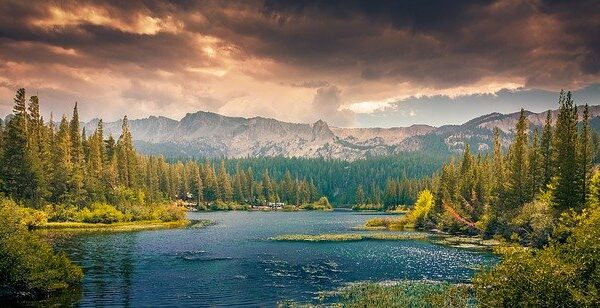 Scenic lake view with pine trees and mountain backdrop under cloudy sky at sunset.
