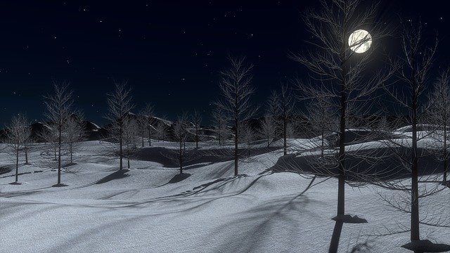 Winter night landscape with bare trees and a bright full moon casting shadows on snow-covered hills.