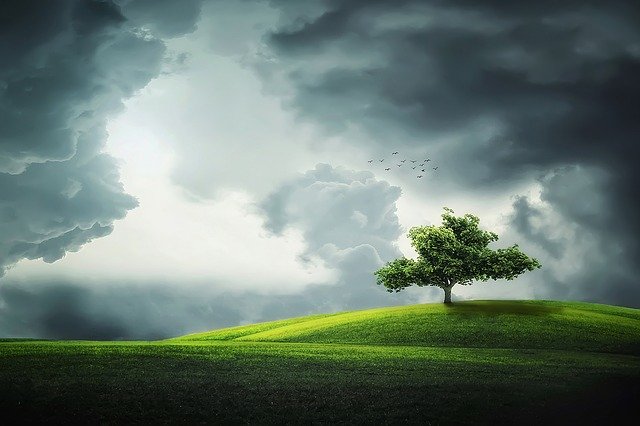 Lone tree on green hill under dramatic cloudy sky, symbolizing solitude and tranquility.