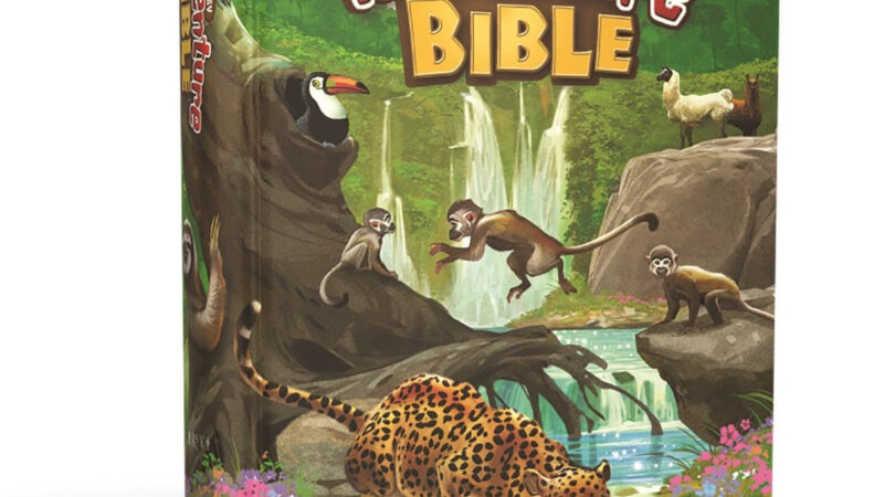 NRSV Adventure Bible for Kids with jungle animals and waterfall on cover, promoting engaging biblical exploration.