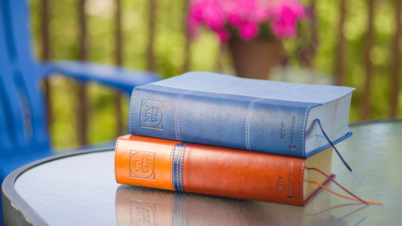 Two stacked leather-bound books on a glass table, outdoors, with pink flowers blurred in the background.