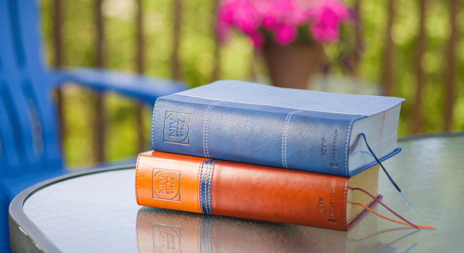 Two stacked leather-bound books on a glass table, outdoors, with pink flowers blurred in the background.