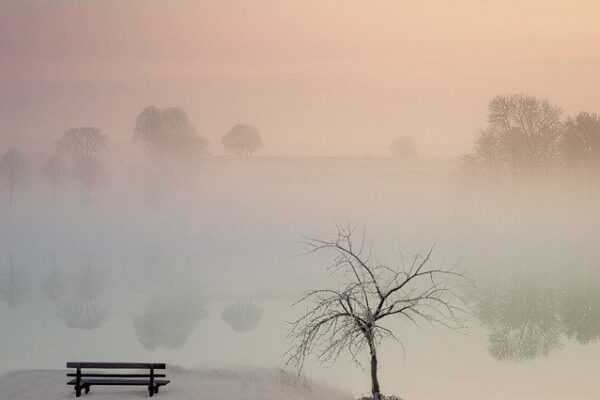 Tranquil foggy landscape with a bench and tree by a lake, reflecting serene pastel skies at dawn.