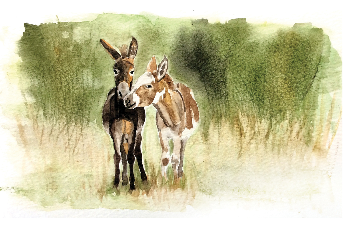 Watercolor painting of two donkeys nuzzling in a green field.