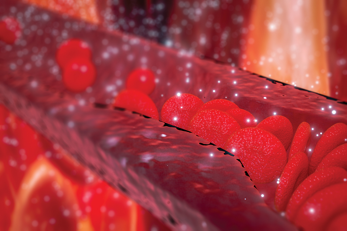 Illustration of red blood cells flowing through a vein, showcasing the circulatory system in detail.