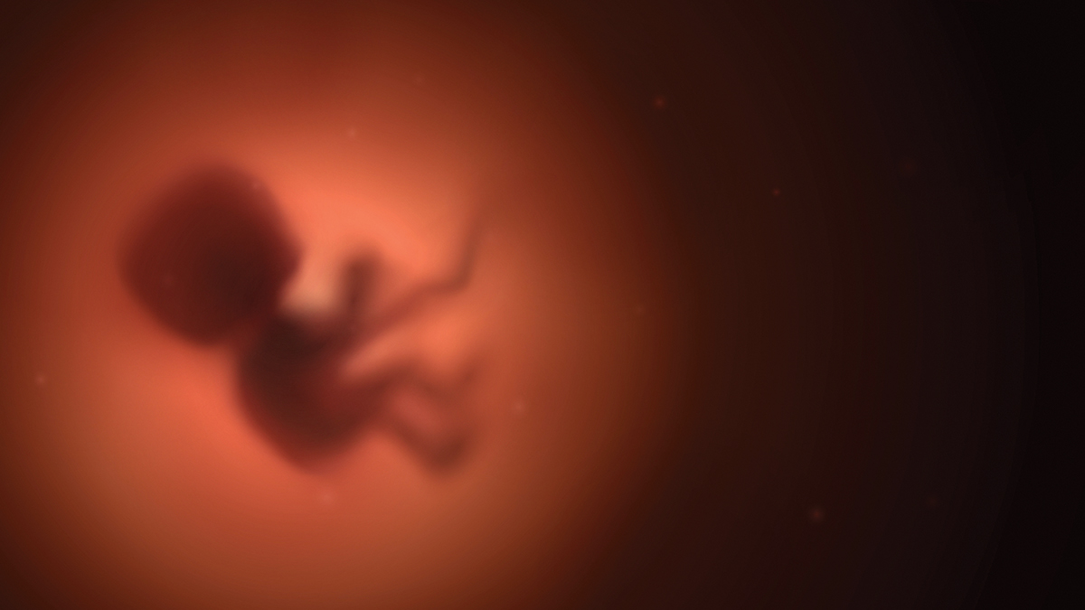Blurry silhouette of a fetus in a soft, glowing environment, representing early stages of life and development.