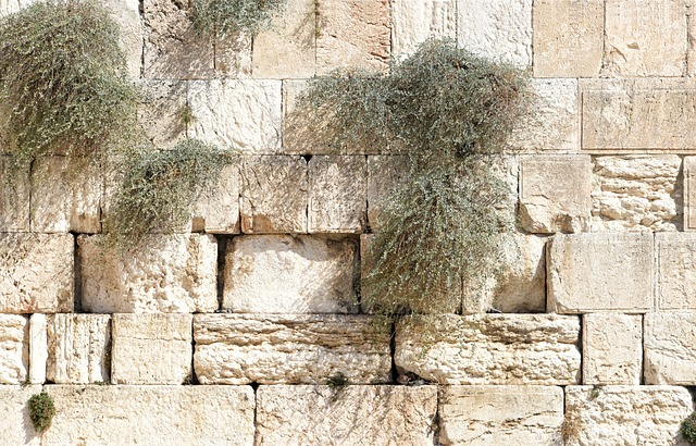 Ancient stone wall with green plants growing, showcasing historical architecture and nature's resilience.