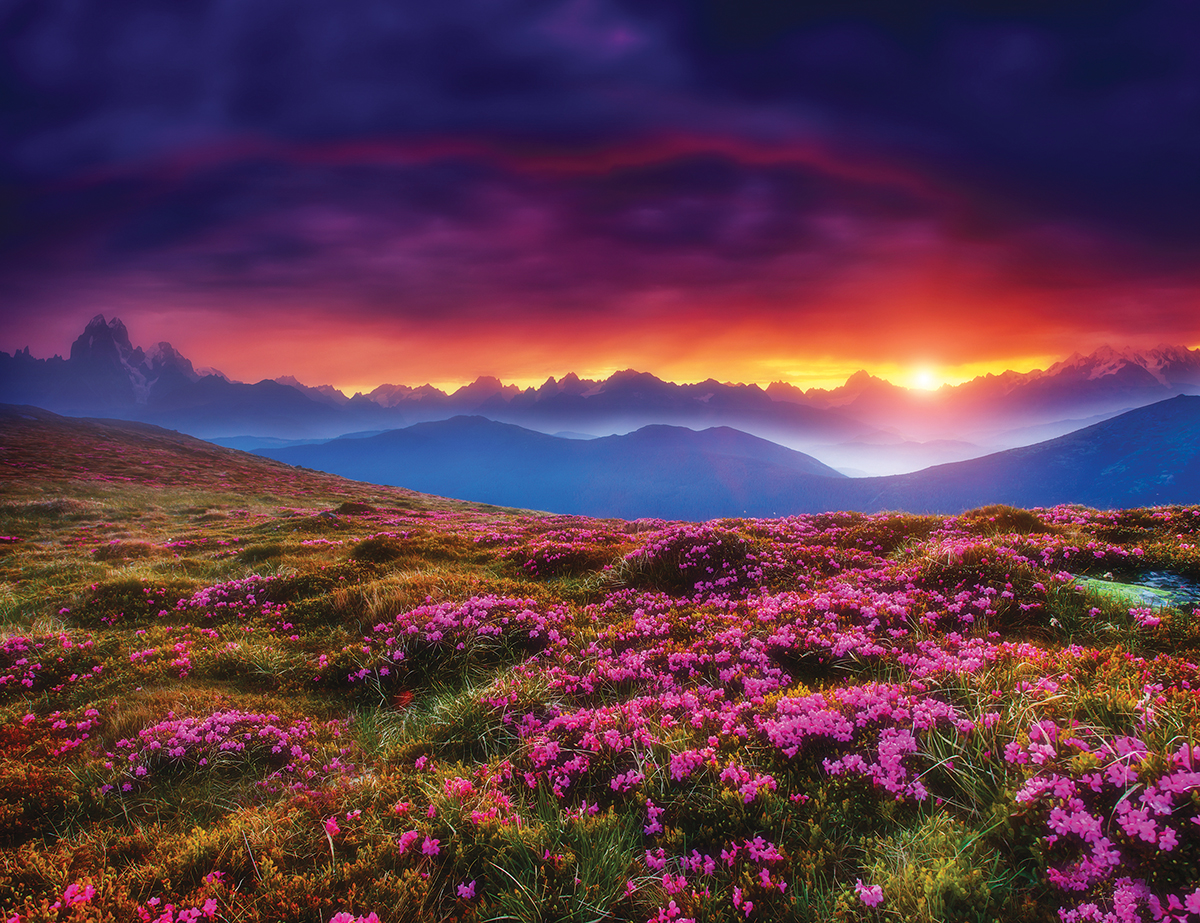 Vibrant sunset over a mountain landscape with blooming pink flowers and a dramatic sky.