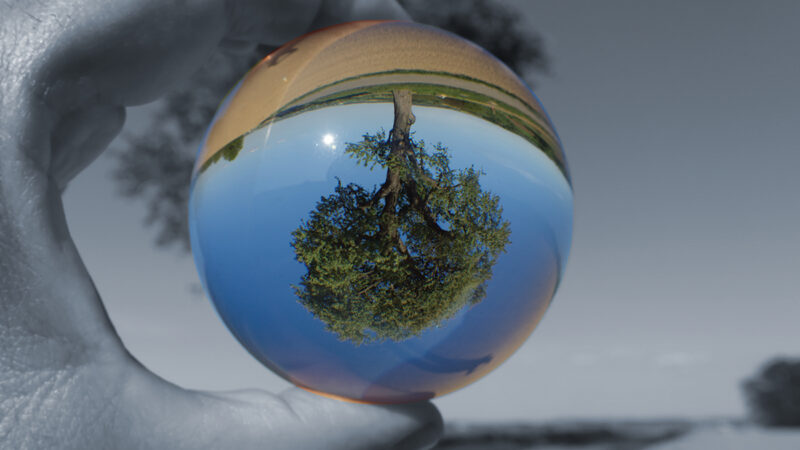 The world is upside down