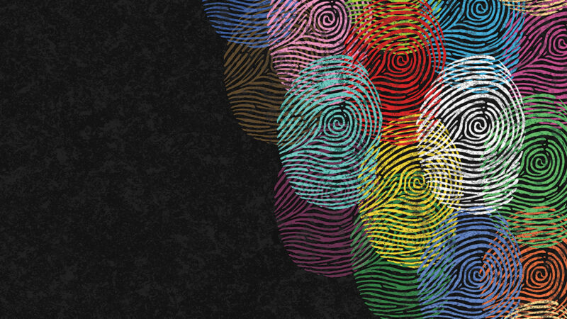 Diverse Identity Design