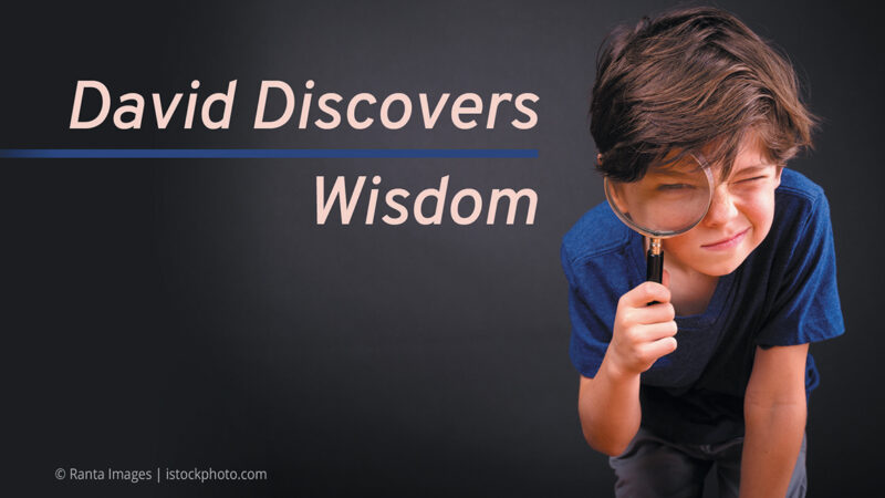 David Discovers Wisdom