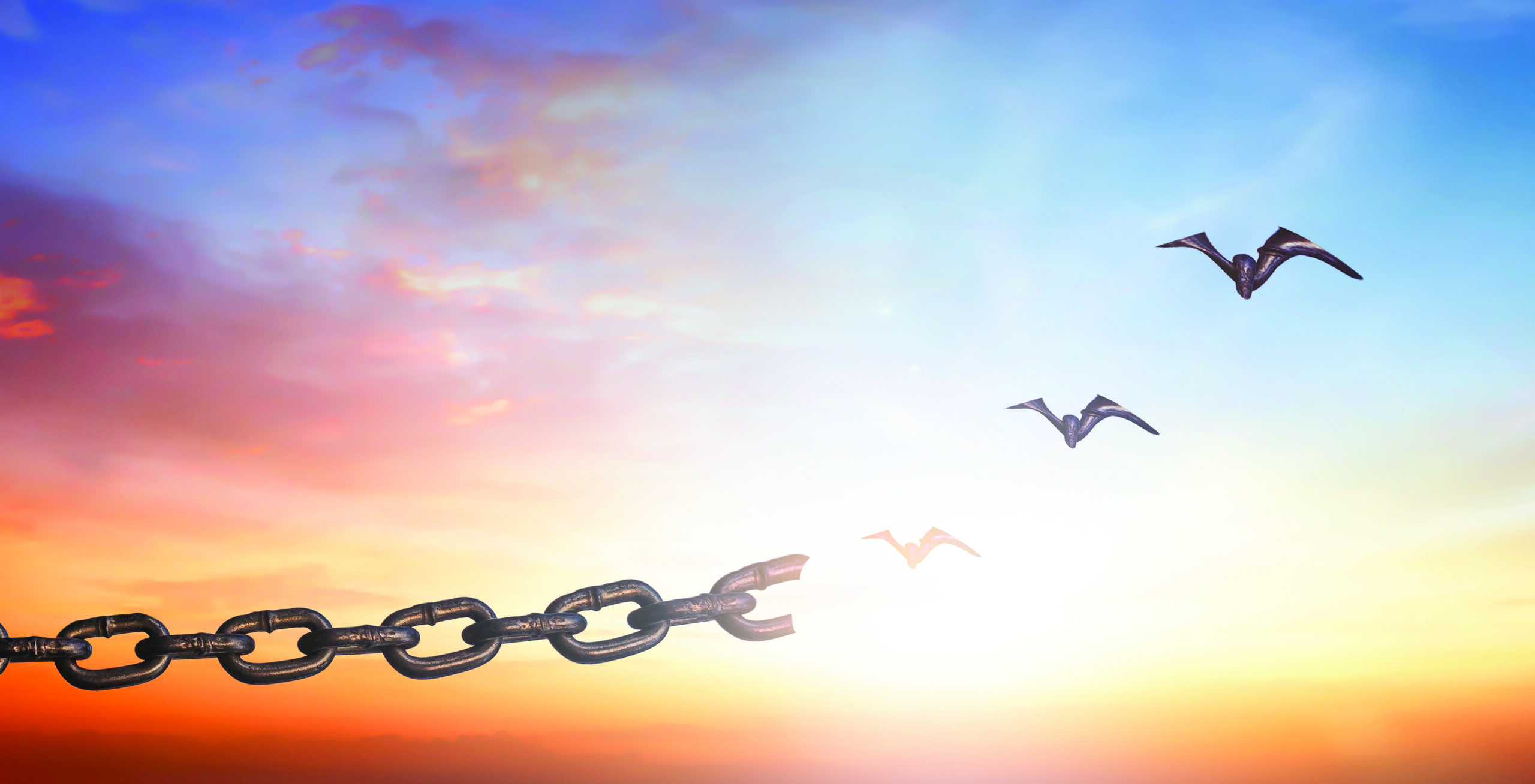 Silhouettes of broken chain and birds flying in sunset sky background